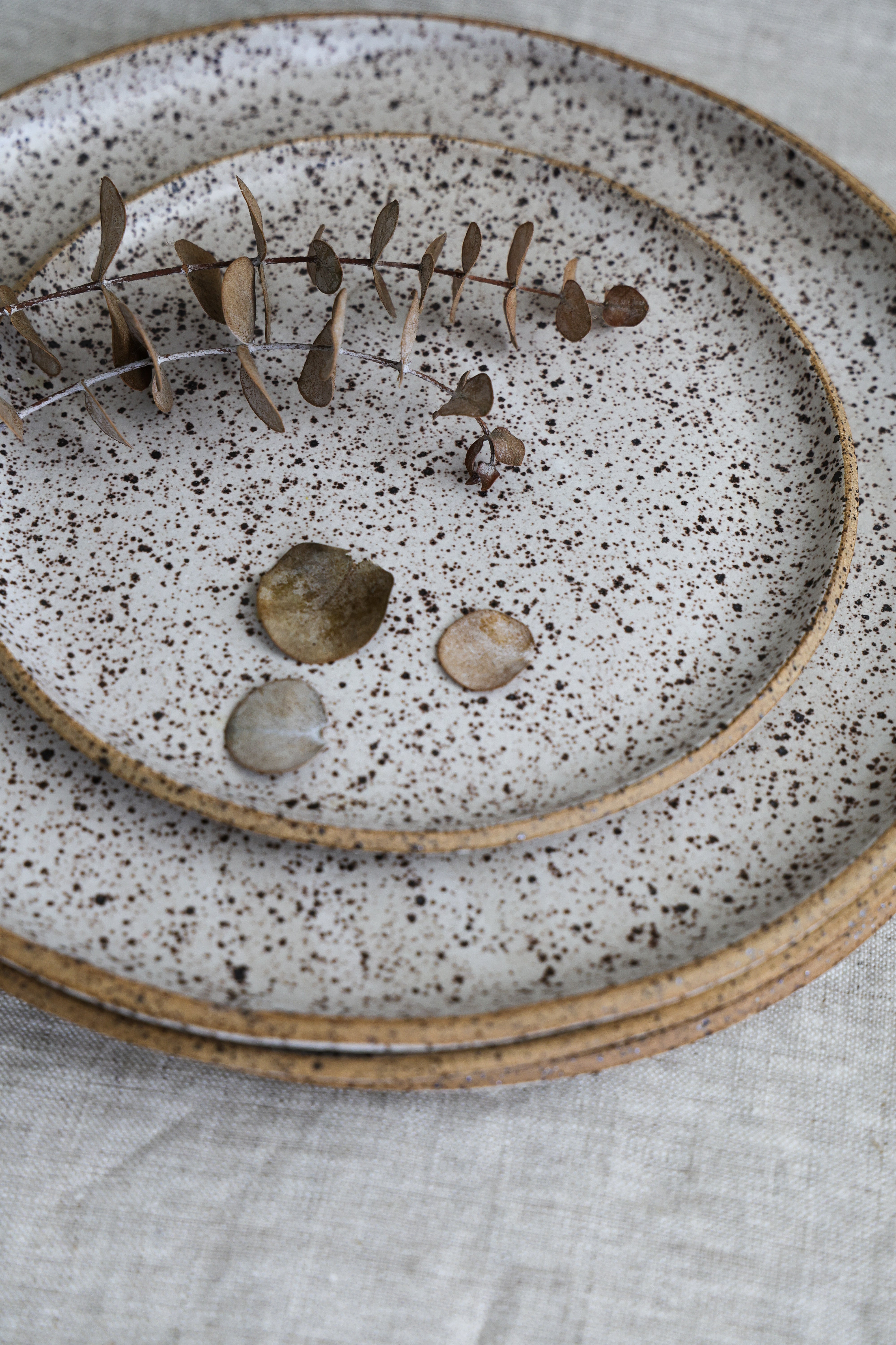 Handmade Speckled Matte White Plates