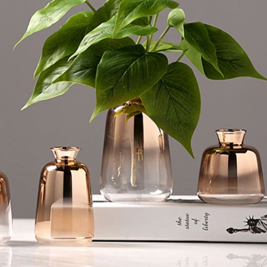 Gradient Vases